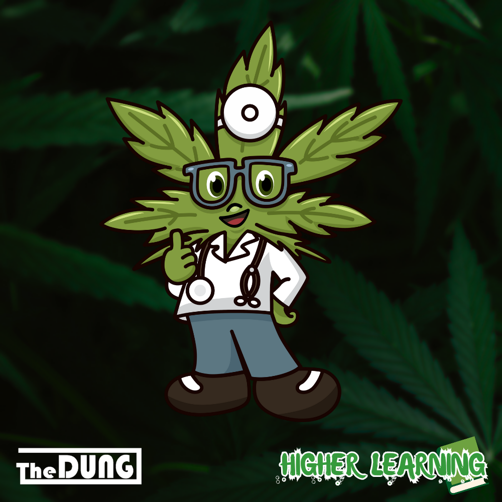 Navigating the Conversation: Discussing Medical Cannabis with Your Doctor