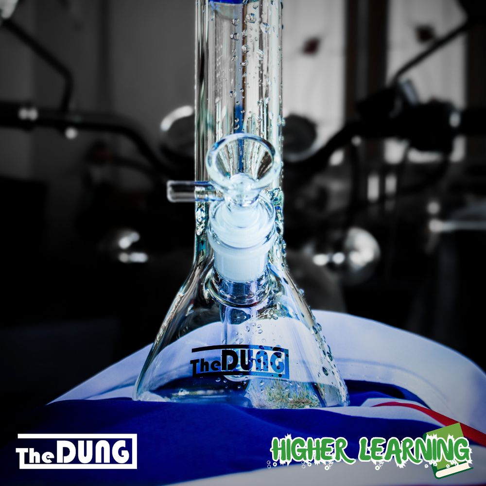 High Hits: The Benefits of Using a Bong