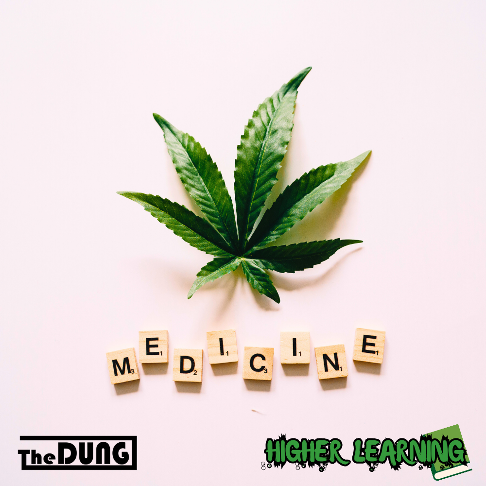 The Green Landscape: The State of Cannabis Law in Australia