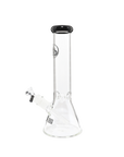 Chronical Large