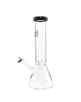 Chronical Large