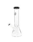 Chronical Large