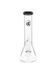 Chronical Large