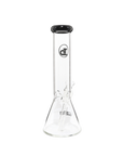 Chronical Large