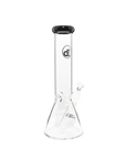 Chronical Large