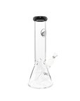 Chronical Large