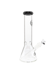 Chronical Large