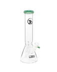 Chronical Large