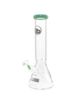 Chronical Large