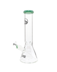 Chronical Large
