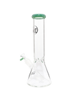 Chronical Large