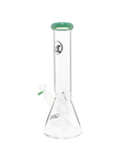Chronical Large