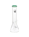 Chronical Large