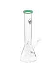 Chronical Large