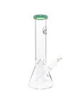 Chronical Large
