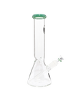 Chronical Large