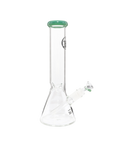 Chronical Large
