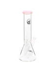 Chronical Large