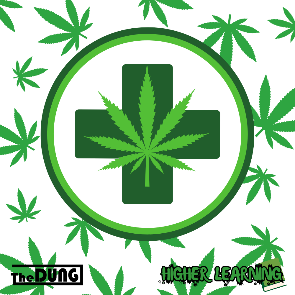The Green Path: A Guide to Obtaining a Medical Cannabis Prescription in Australia