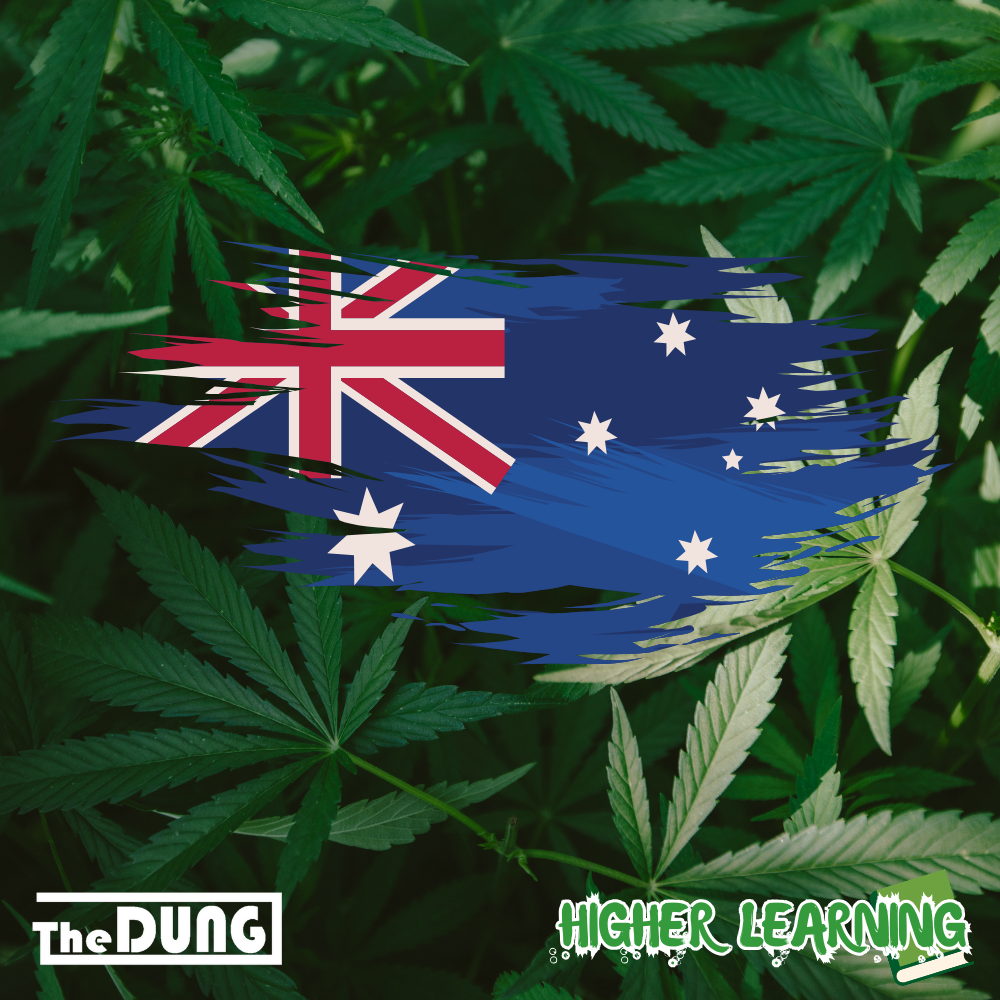 Cultivating Green Dreams: Can you grow cannabis at home in Australia?