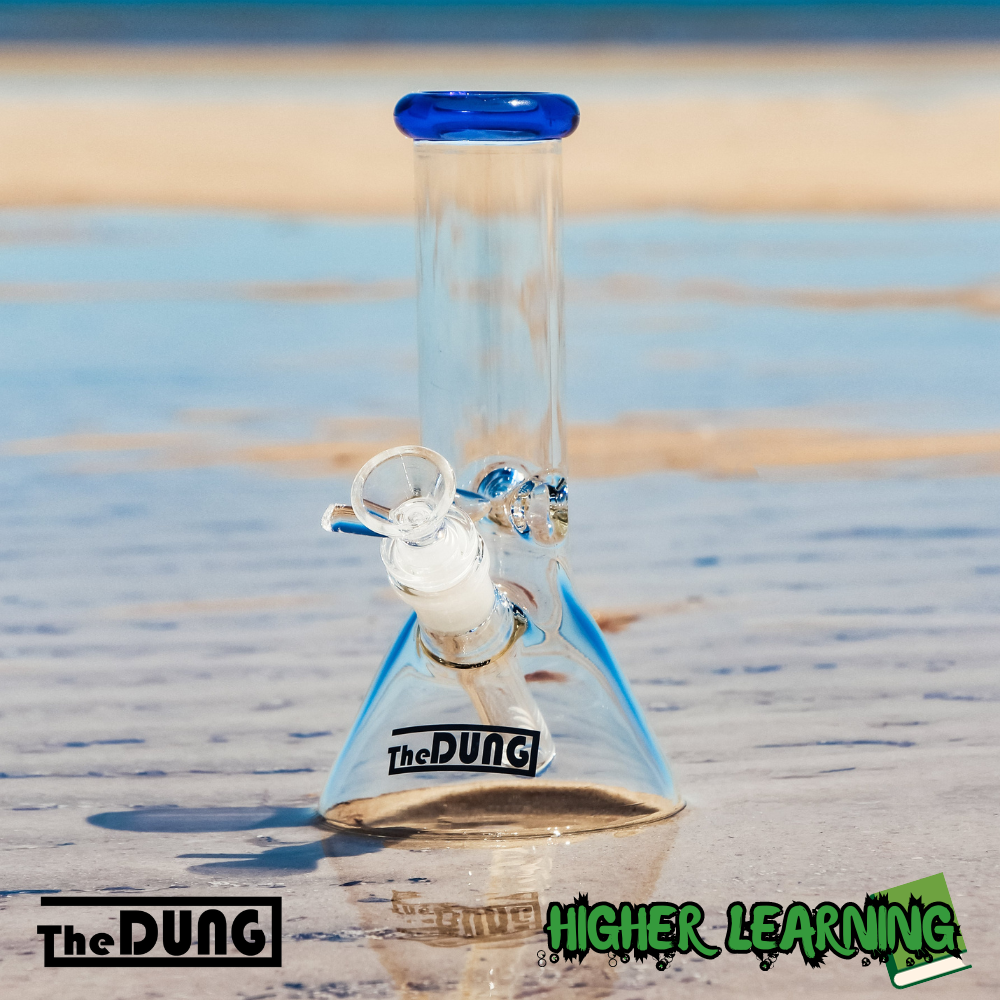 Online Bongs Australia: A Guide to Buying Your Dream Bong Online in Australia